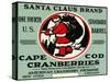 Cape Cod, Massachusetts - Santa Claus Brand Cranberry Label-Lantern Press-Stretched Canvas