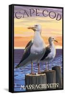 Cape Cod, Massachusetts - Sea Gulls-Lantern Press-Framed Stretched Canvas