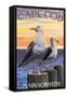 Cape Cod, Massachusetts - Sea Gulls-Lantern Press-Framed Stretched Canvas