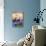 Cape Cod, Massachusetts - Sea Gulls-Lantern Press-Stretched Canvas displayed on a wall