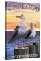 Cape Cod, Massachusetts - Sea Gulls-Lantern Press-Stretched Canvas