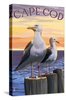 Cape Cod, Massachusetts - Seagulls-Lantern Press-Stretched Canvas