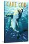Cape Cod, Massachusetts - Stylized Shark-Lantern Press-Stretched Canvas