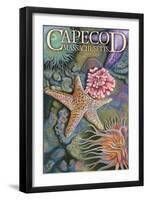 Cape Cod, Massachusetts - Tidepool-Lantern Press-Framed Art Print