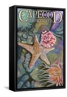 Cape Cod, Massachusetts - Tidepool-Lantern Press-Framed Stretched Canvas