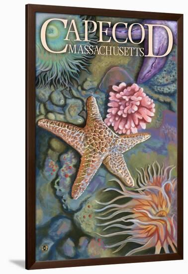 Cape Cod, Massachusetts - Tidepool-Lantern Press-Framed Art Print