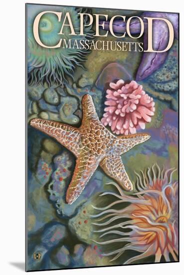 Cape Cod, Massachusetts - Tidepool-Lantern Press-Mounted Art Print