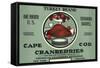 Cape Cod, Massachusetts - Turkey Brand Cranberry Label-Lantern Press-Framed Stretched Canvas