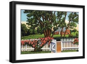 Cape Cod, Massachusetts - View of a Quaint Residence-Lantern Press-Framed Art Print