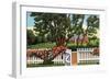 Cape Cod, Massachusetts - View of a Quaint Residence-Lantern Press-Framed Art Print