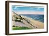 Cape Cod, Massachusetts - View of Sand Dunes and the Beach-Lantern Press-Framed Art Print