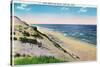 Cape Cod, Massachusetts - View of Sand Dunes and the Beach-Lantern Press-Stretched Canvas