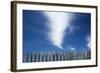 Cape Cod, Massachusetts-Paul Souders-Framed Photographic Print