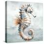 Cape Cod Seahorse-Nicole DeCamp-Stretched Canvas