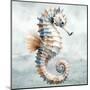 Cape Cod Seahorse-Nicole DeCamp-Mounted Art Print