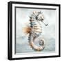 Cape Cod Seahorse-Nicole DeCamp-Framed Art Print