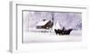 Cape Cod Sleighride-Paul Landry-Framed Art Print