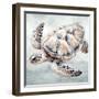 Cape Cod Turtle-Nicole DeCamp-Framed Art Print