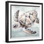 Cape Cod Turtle-Nicole DeCamp-Framed Art Print