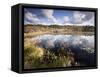 Cape Cod Wetlands, Massachusetts, USA-William Sutton-Framed Stretched Canvas