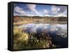 Cape Cod Wetlands, Massachusetts, USA-William Sutton-Framed Stretched Canvas