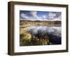 Cape Cod Wetlands, Massachusetts, USA-William Sutton-Framed Photographic Print