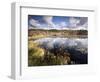 Cape Cod Wetlands, Massachusetts, USA-William Sutton-Framed Photographic Print