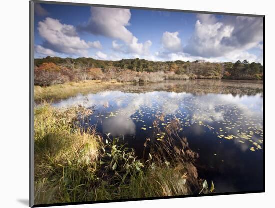 Cape Cod Wetlands, Massachusetts, USA-William Sutton-Mounted Photographic Print