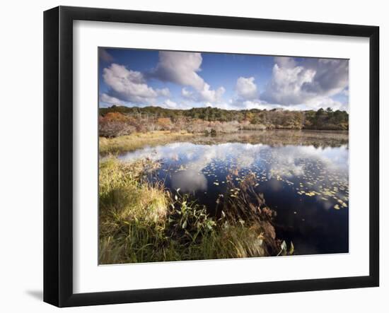 Cape Cod Wetlands, Massachusetts, USA-William Sutton-Framed Photographic Print