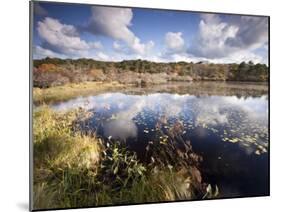 Cape Cod Wetlands, Massachusetts, USA-William Sutton-Mounted Photographic Print