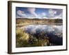 Cape Cod Wetlands, Massachusetts, USA-William Sutton-Framed Photographic Print