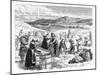 Cape Cod Women Picking and Sorting Cranberries, 1875-null-Mounted Giclee Print