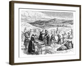 Cape Cod Women Picking and Sorting Cranberries, 1875-null-Framed Giclee Print