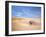 Cape Cod-Alan Klug-Framed Photographic Print