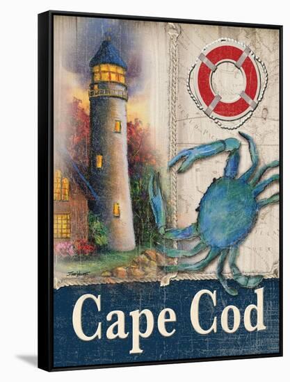 Cape Cod-Todd Williams-Framed Stretched Canvas