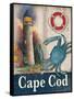 Cape Cod-Todd Williams-Framed Stretched Canvas