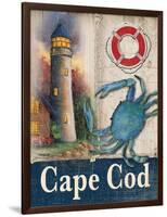 Cape Cod-Todd Williams-Framed Art Print