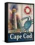 Cape Cod-Todd Williams-Framed Stretched Canvas