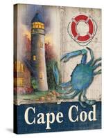 Cape Cod-Todd Williams-Stretched Canvas