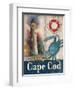 Cape Cod-Todd Williams-Framed Art Print