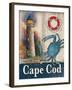 Cape Cod-Todd Williams-Framed Art Print