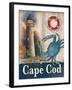 Cape Cod-Todd Williams-Framed Art Print