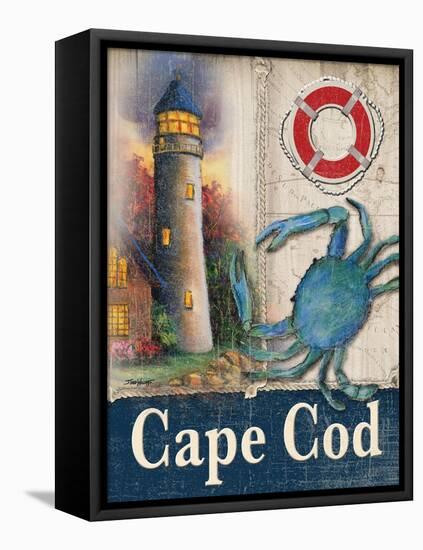 Cape Cod-Todd Williams-Framed Stretched Canvas