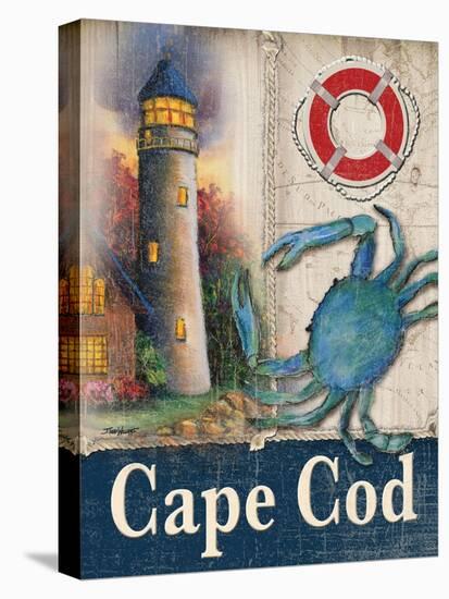 Cape Cod-Todd Williams-Stretched Canvas