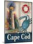 Cape Cod-Todd Williams-Mounted Premium Giclee Print