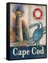 Cape Cod-Todd Williams-Framed Stretched Canvas