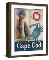 Cape Cod-Todd Williams-Framed Art Print