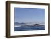 Cape Cormorant (Phalacrocorax Capensis)-David Jenkins-Framed Photographic Print