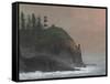 Cape Disappointment Light-David Knowlton-Framed Stretched Canvas