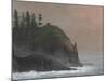 Cape Disappointment Light-David Knowlton-Mounted Giclee Print
